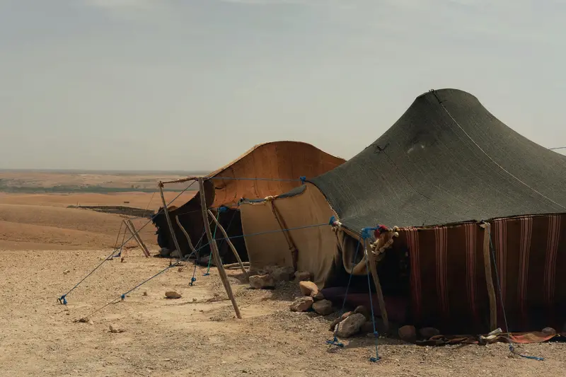 Bedouin Tents